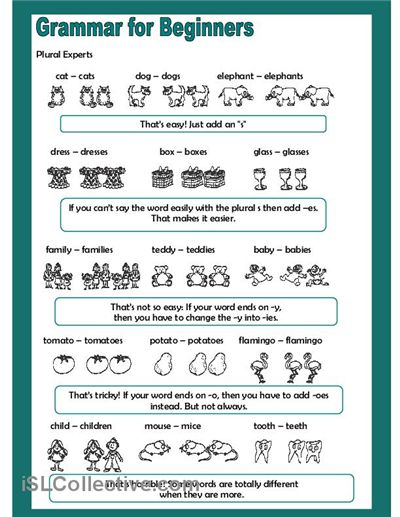 Printables Free Esl Worksheets grammar for beginners plural experts worksheet free esl printable worksheets made by teachers