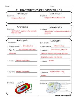 Printables Classifying Living Things Worksheet 1000 images about classifying living things on...