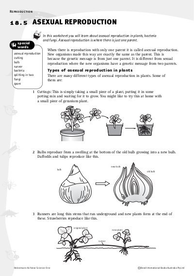 Printables Asexual Reproduction Worksheet worksheet asexual reproduction