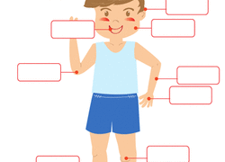 Printables What Is Science Worksheet science worksheets printables education com worksheet parts of the human body