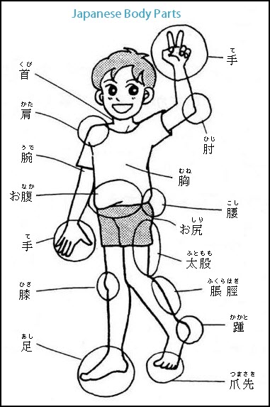 Printables Learning Japanese Worksheets japanese worksheets abitlikethis body parts words and...