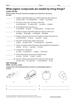 Printables Classifying Living Things Worksheet classification of living things worksheet 5th...