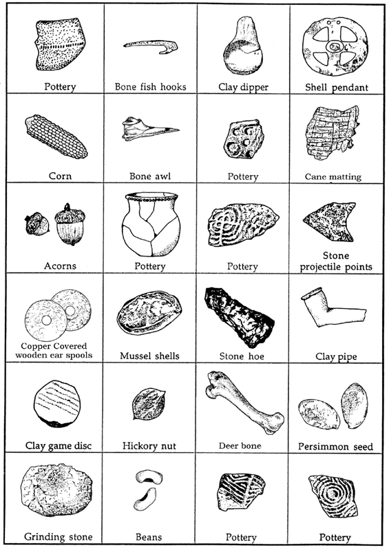Printables Classifying Living Things Worksheet prenticehall 2 classifying...