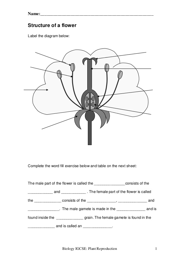 Printables Asexual Reproduction Worksheet plant reproduction worksheet name