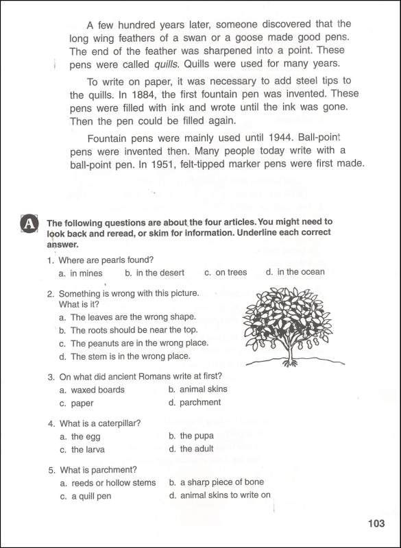 Printables Short Comprehension Passages For Grade 4 comprehension for grade 4 scalien reading comprehensions scalien