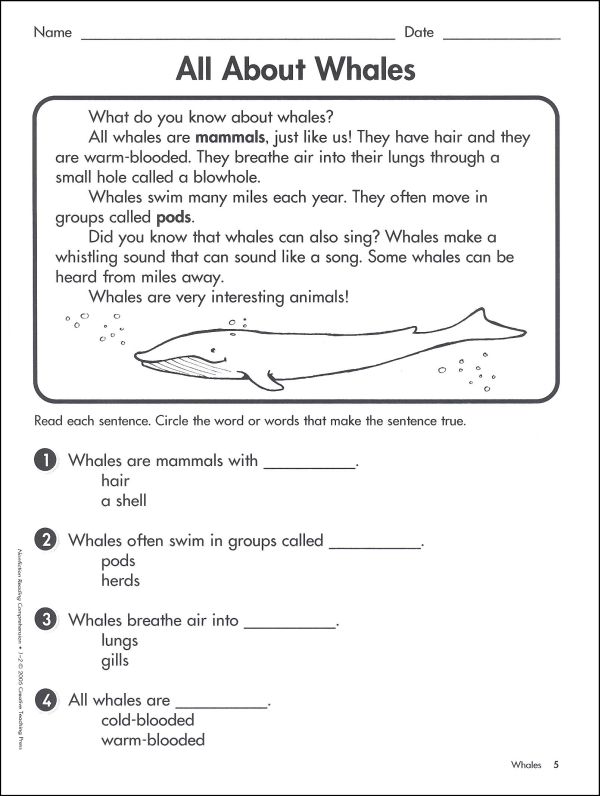 Printables Reading Comprehension Grade 1 nonfiction reading comprehension grades 1 2 032208 details additional photo inside page