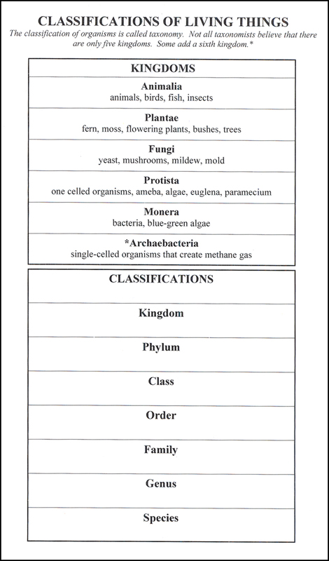 Printables Classifying Living Things Worksheet 6th grade science classification of living things...