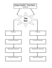 Printables Energy Transfer Worksheet energy transfer and food chains 7th 9th grade worksheet...