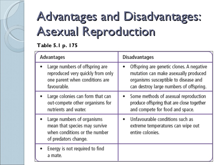 Printables Asexual Reproduction Worksheet sci 9 lesson 4 mar 1 and 2 ch 5 asexual reproduction...