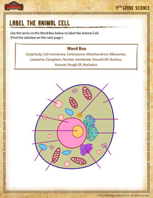 Printables Animal Cell Worksheet label the animal cell 4th grade science worksheet online cell