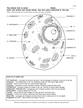 Printables Animal Cell Worksheet animal cell color page worksheet and quiz ce 3 by bluebird 3