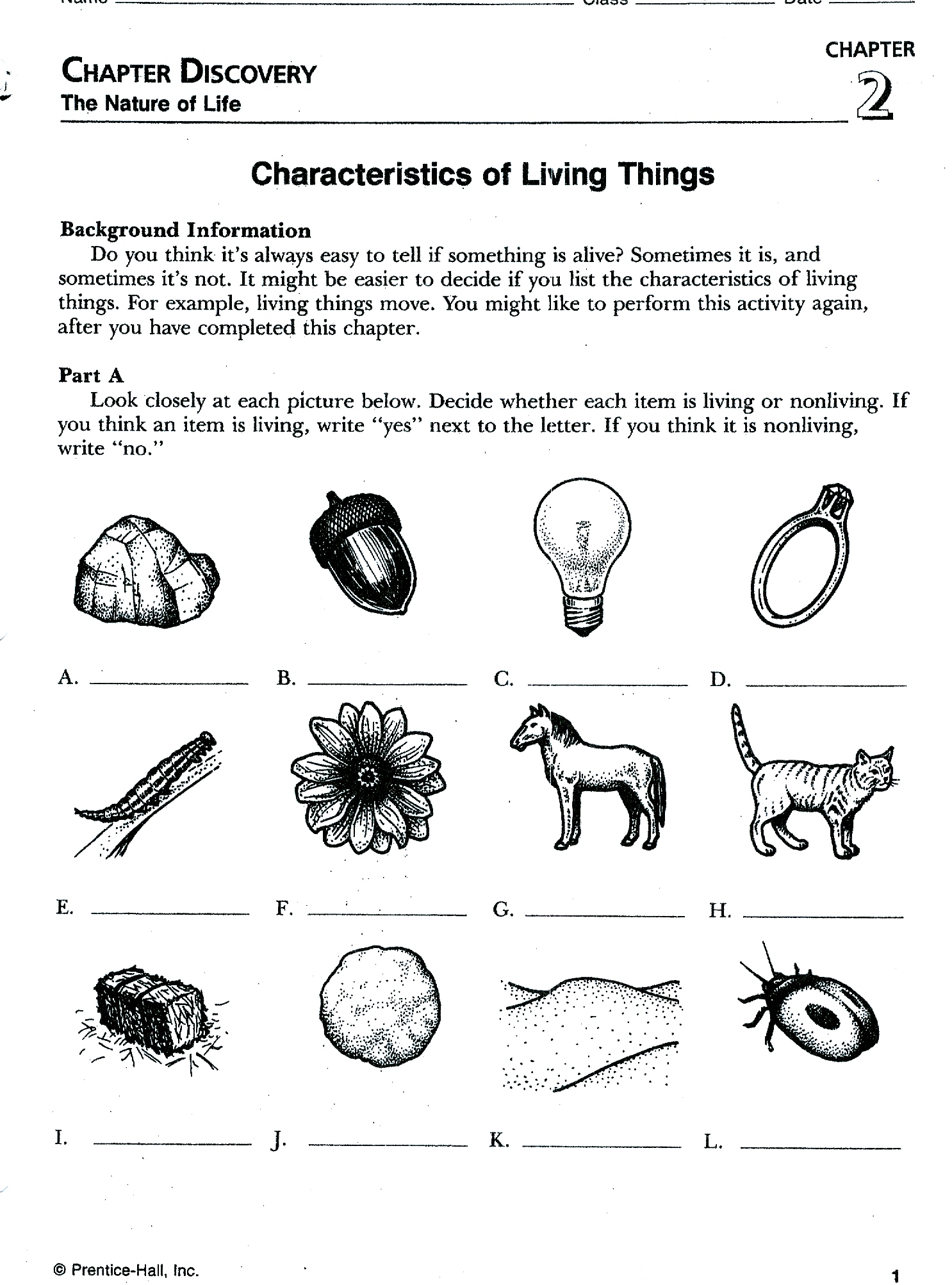 Printables Classifying Living Things Worksheet characteristics of living things worksheet...