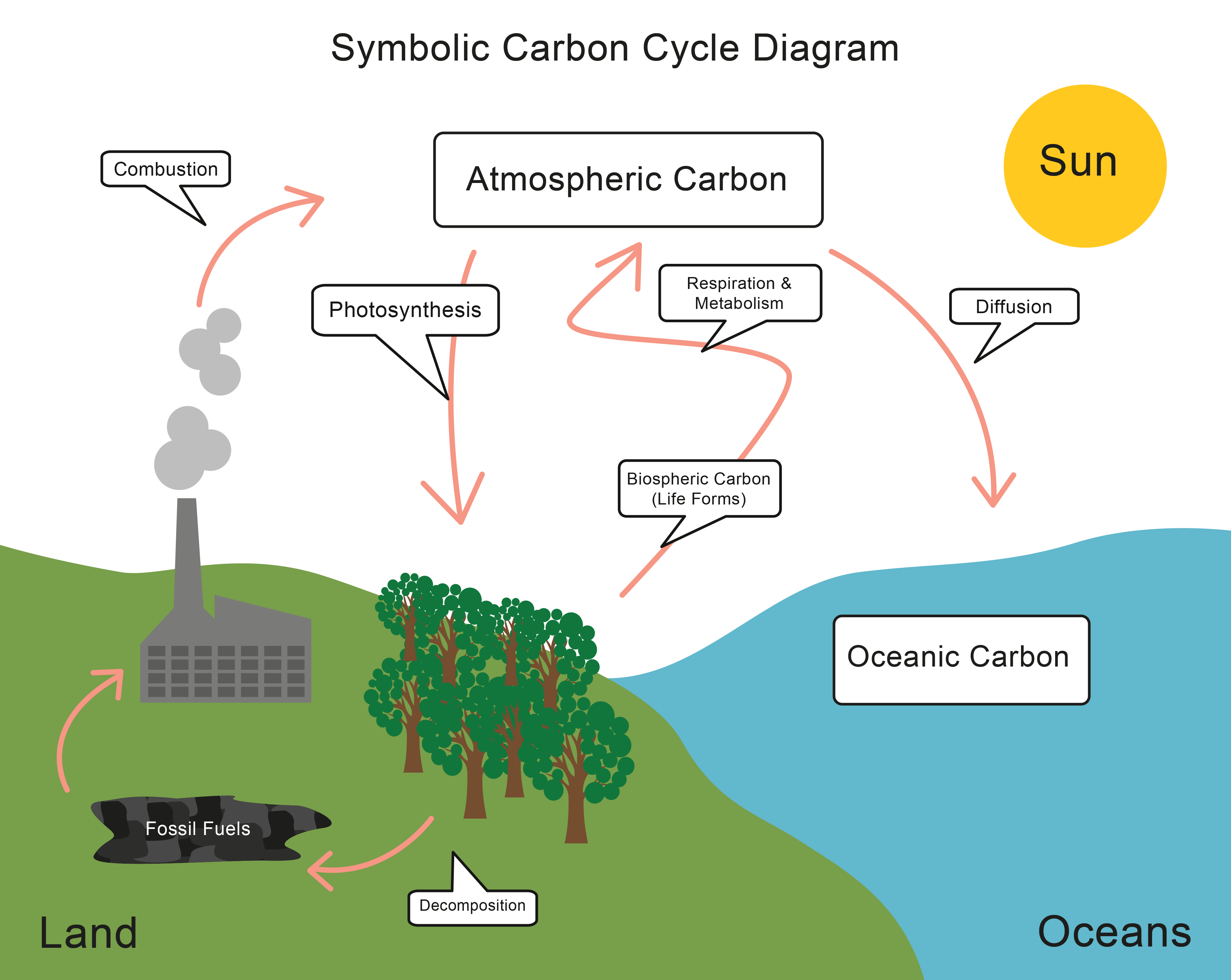 Printables Energy Transfer Worksheet energy transfer and the carbon cycle worksheet edplace when...