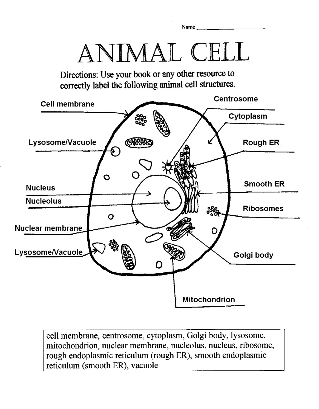 Printables Animal Cell Worksheet animal cell worksheet davezan label davezan
